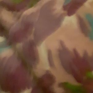 Meet your Posher, Patty